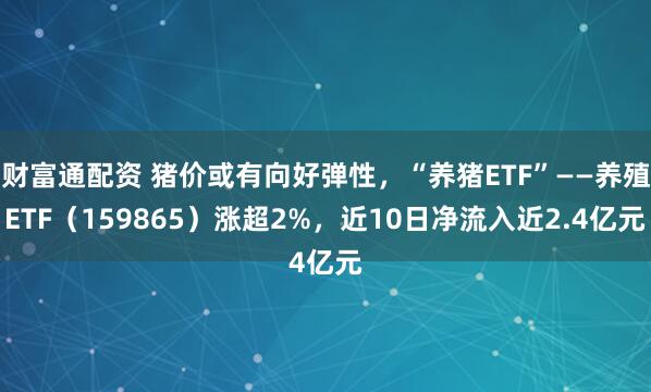 财富通配资 猪价或有向好弹性，“养猪ETF”——养殖ETF（159865）涨超2%，近10日净流入近2.4亿元